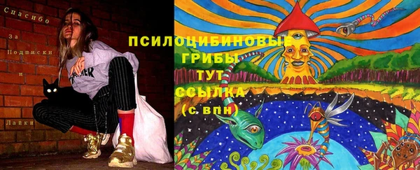 бошки Абинск