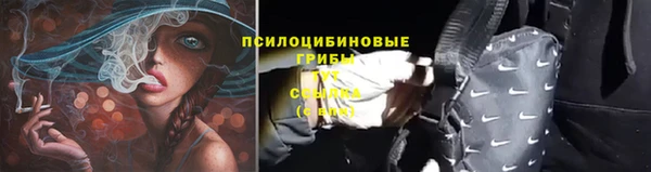 мет Абаза