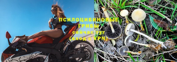 бошки Абинск
