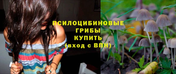 бошки Абинск