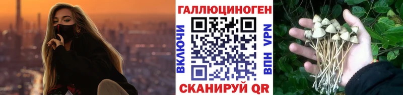 Галлюциногенные грибы Cubensis закладка Фрязино