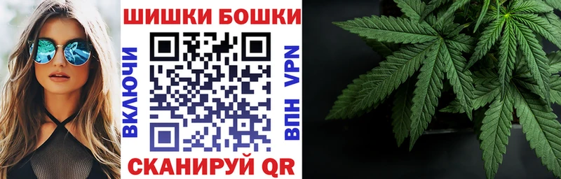 Бошки Шишки гибрид Фрязино